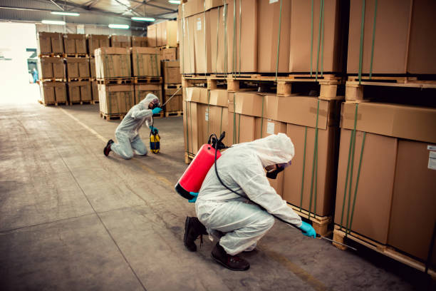 Best Affordable Pest Control Services  in Lincoln Beach, OR