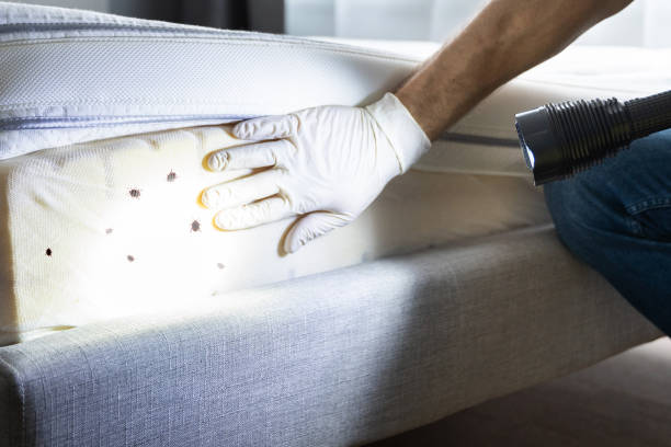 Best Wasp Removal Services  in Lincoln Beach, OR