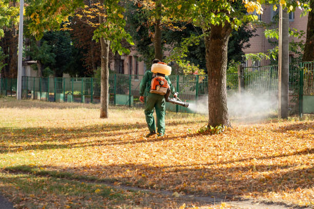 Best Residential Pest Control  in Lincoln Beach, OR