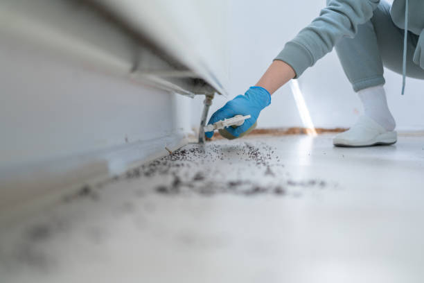 Best Bed Bug Extermination  in Lincoln Beach, OR